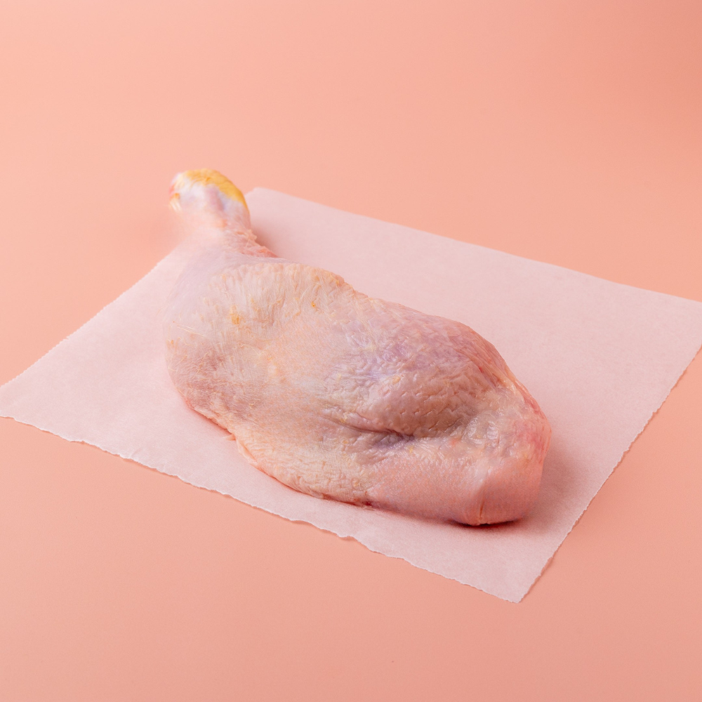 Scharrel kippenbout kopen