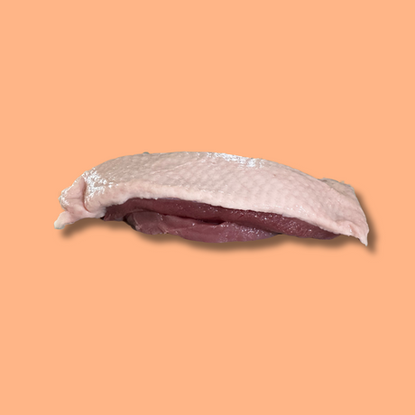 eendenborst kopen