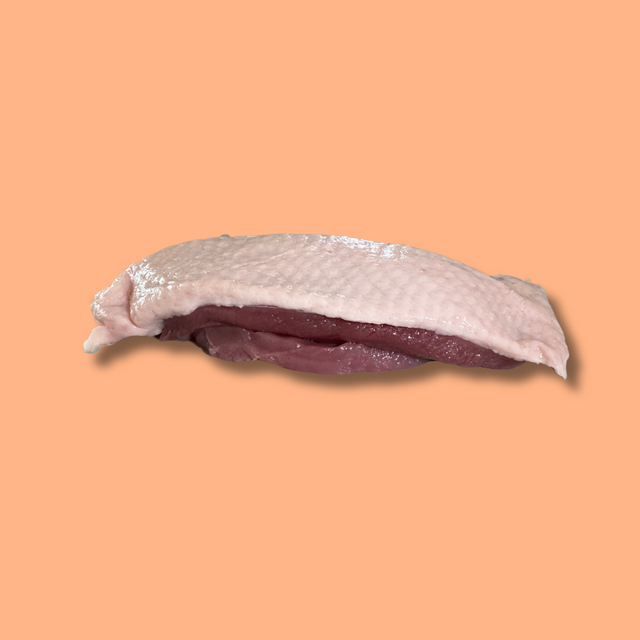 eendenborst kopen